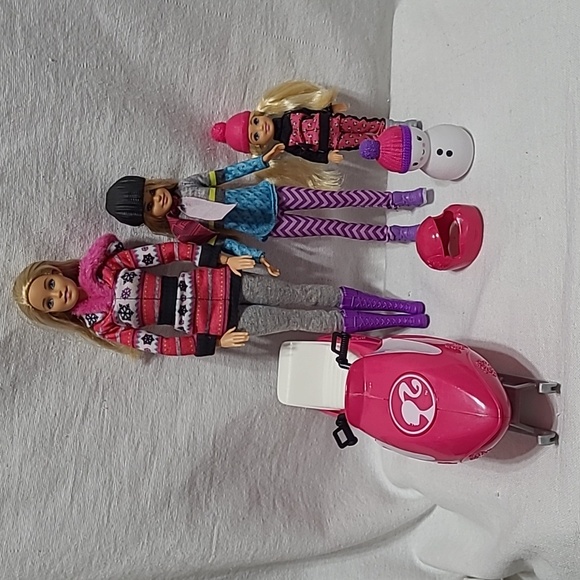 Barbie Doll Year 2018 Sisters Winter Snow Fun Gift Set #FDR73 - Picture 3 of 15